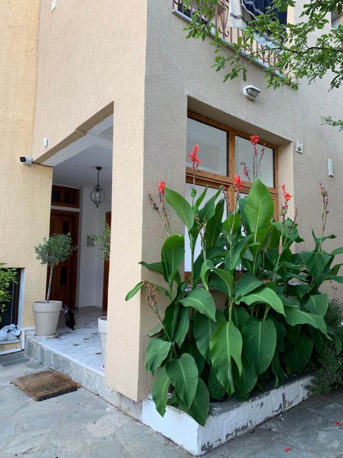 Hapinness Seaview PalaiónTsiflíkion Exterior foto